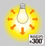 配光角約300°（フィラメント電球・A形）