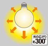 配光角約300°（フィラメント電球・G形）